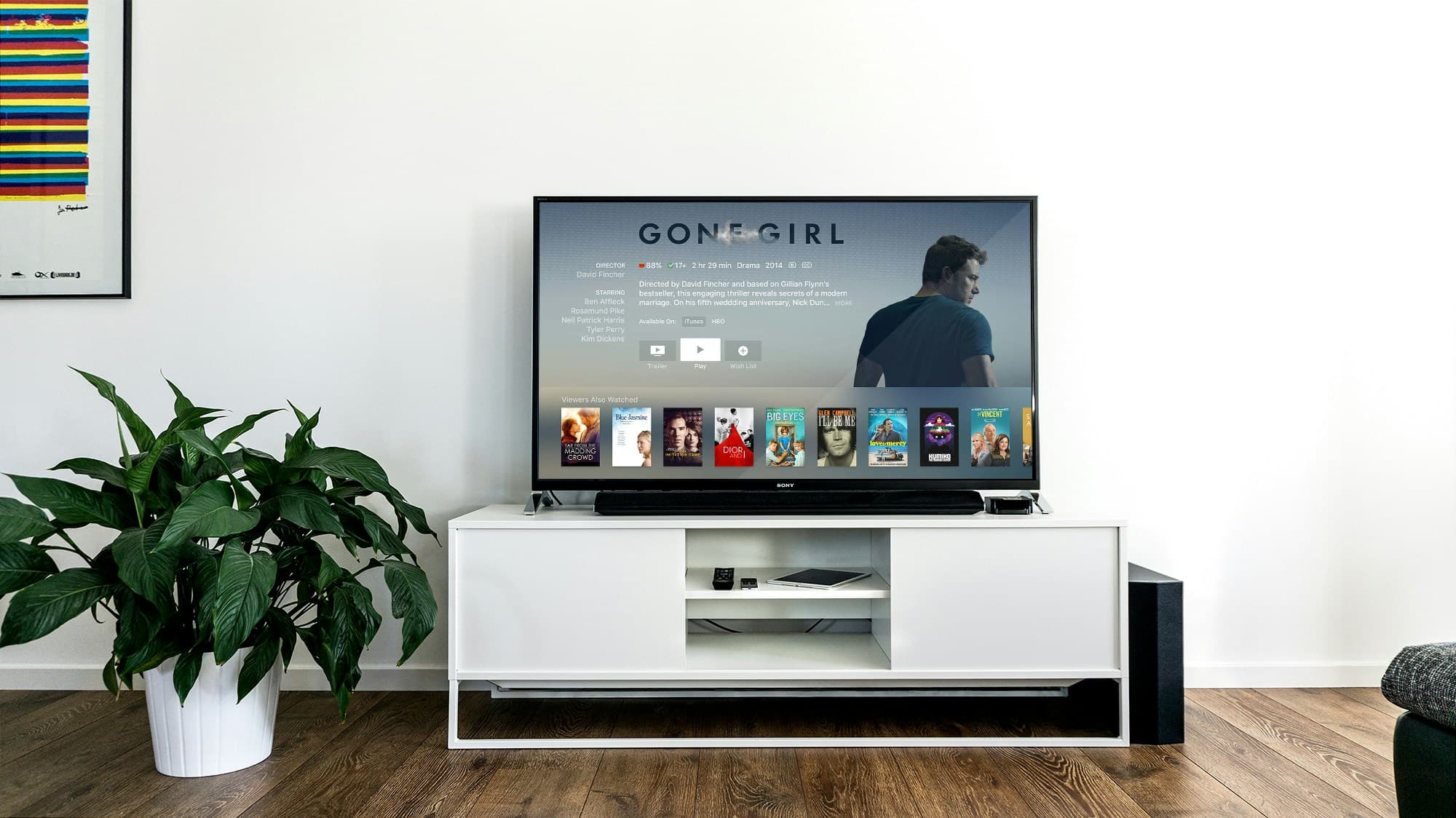 Minimalist Wood TV Unit