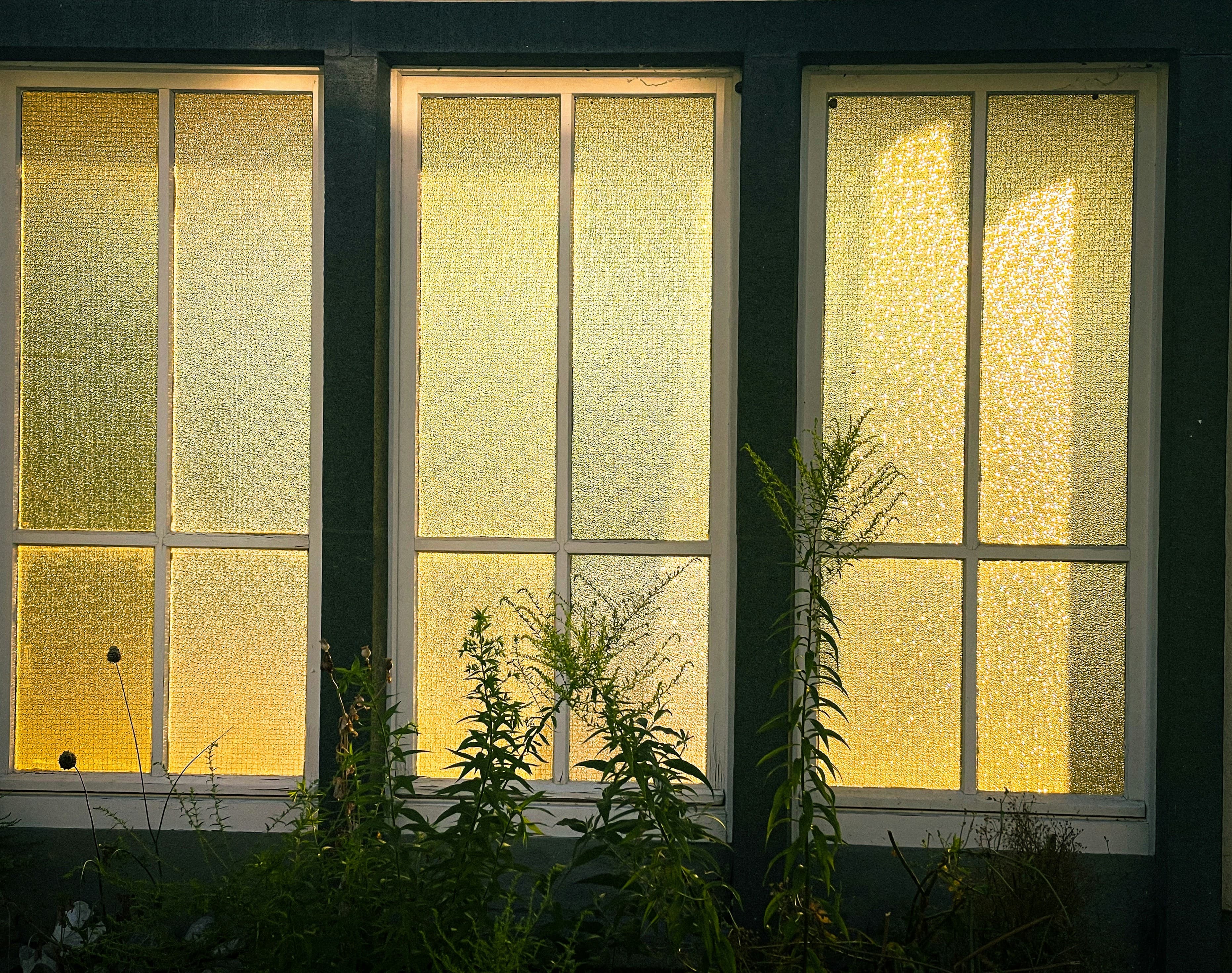 Upholstered Durable Window